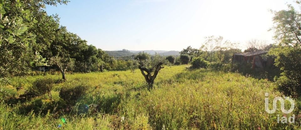 Maison T2 à Além da Ribeira e Pedreira de 216 m²