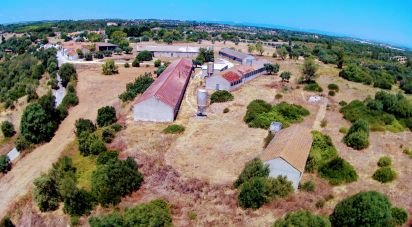 Ferme T3 à Almoster de 2 364 m²
