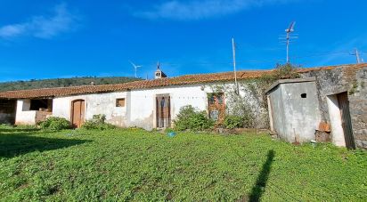 Village house T3 in Alcobertas of 418 m²