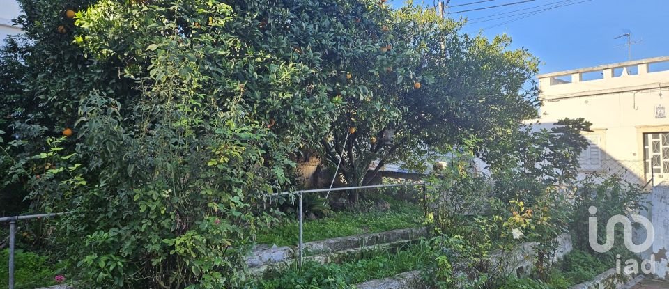 House T3 in Boliqueime of 200 m²