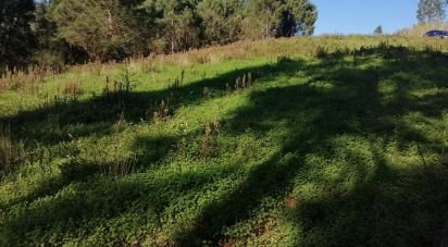 Land in Salir de Matos of 6,008 m²