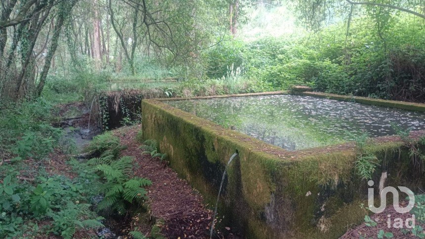 Farm land in São Julião e Silva of 27,590 m²
