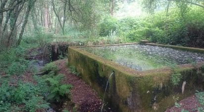 Farm land in São Julião e Silva of 27,590 m²