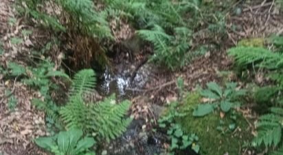 Farm land in São Julião e Silva of 27,590 m²