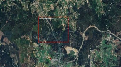 Farm land in São Julião e Silva of 27,590 m²