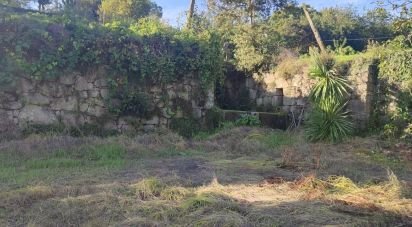 Terrain à São Pedro do Sul, Várzea e Baiões de 3 020 m²