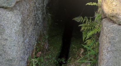 Terrain à São Pedro do Sul, Várzea e Baiões de 3 020 m²