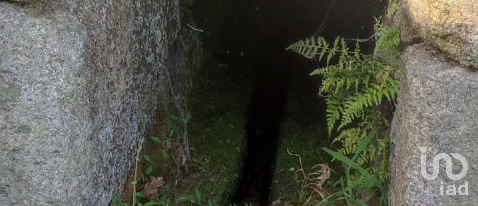 Terrain à São Pedro do Sul, Várzea e Baiões de 3 020 m²