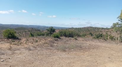 Ferme T6 à Ameixial de 365 m²