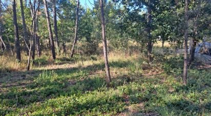 Land in Lousã e Vilarinho of 990 m²