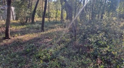 Land in Lousã e Vilarinho of 990 m²
