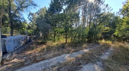 Land in Lousã e Vilarinho of 990 m²