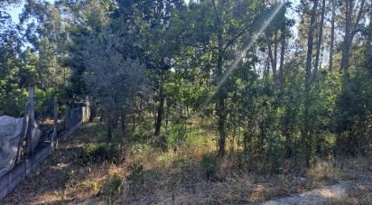 Land in Lousã e Vilarinho of 990 m²