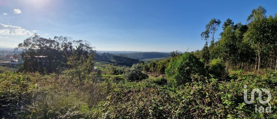 Terreno em Igreja Nova e Cheleiros de 10 000 m²