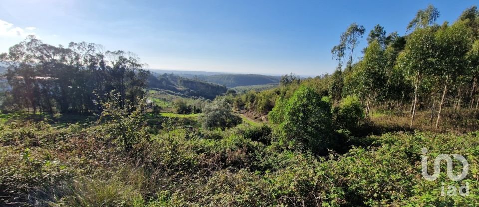 Terreno em Igreja Nova e Cheleiros de 10 000 m²
