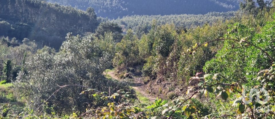 Terreno em Igreja Nova e Cheleiros de 10 000 m²