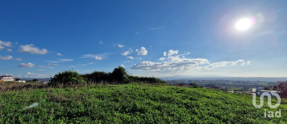 Terreno em Igreja Nova e Cheleiros de 10 000 m²