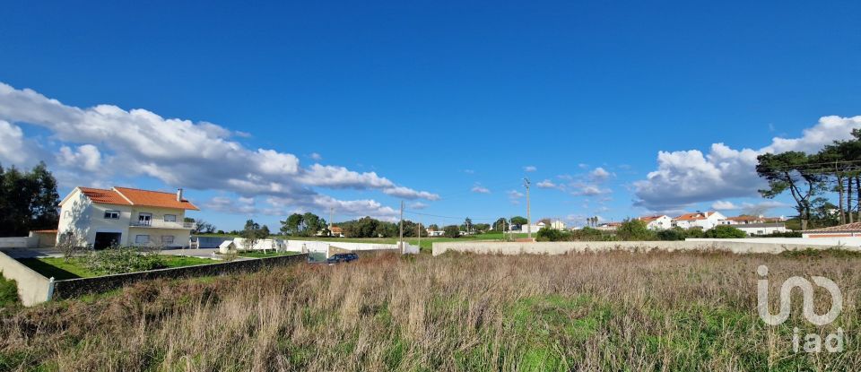 Terreno em Igreja Nova e Cheleiros de 10 000 m²