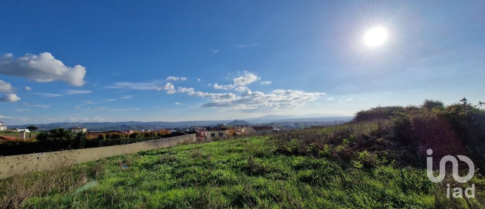 Terreno em Igreja Nova e Cheleiros de 10 000 m²