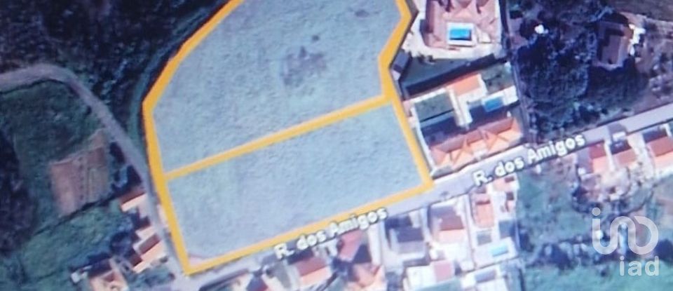 Terreno em Igreja Nova e Cheleiros de 10 000 m²