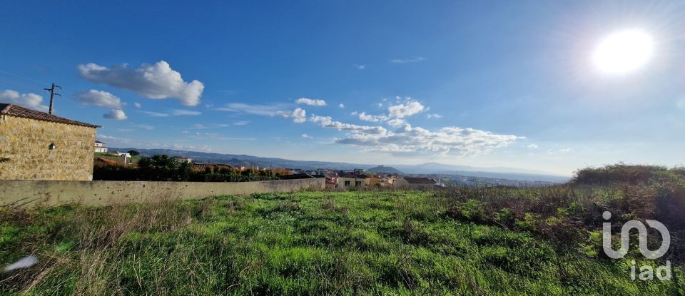 Terreno em Igreja Nova e Cheleiros de 10 000 m²
