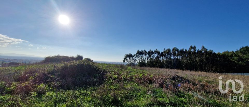 Terreno em Igreja Nova e Cheleiros de 10 000 m²