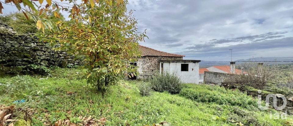 Casa de aldeia T2 em Ferreirim e Macieira de 183 m²
