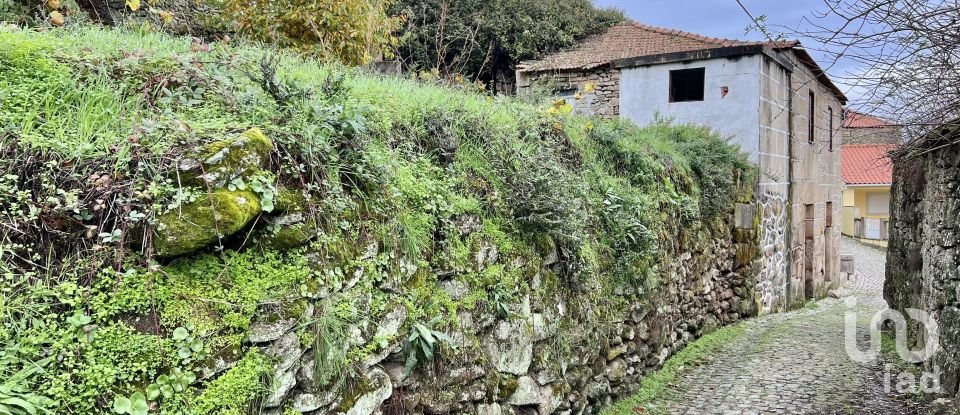 Casa de aldeia T2 em Ferreirim e Macieira de 183 m²