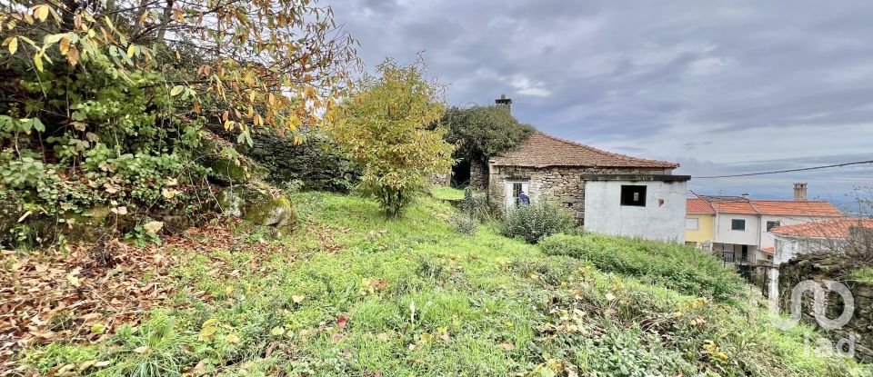 Casa de aldeia T2 em Ferreirim e Macieira de 183 m²