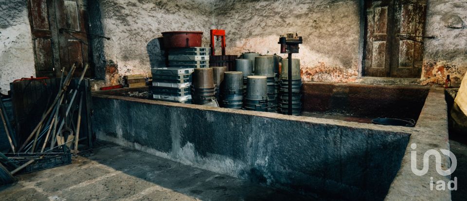 Ferme T16 à Lamego (Almacave e Sé) de 1 660 m²