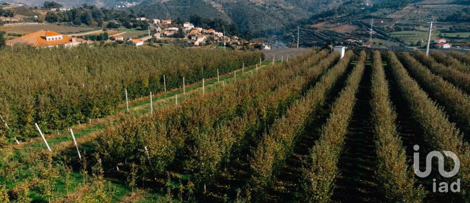Ferme T16 à Lamego (Almacave e Sé) de 1 660 m²