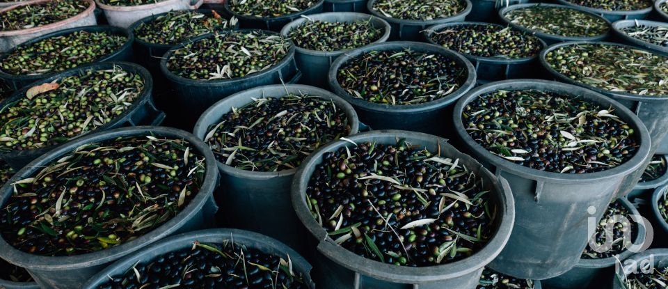 Ferme T16 à Lamego (Almacave e Sé) de 1 660 m²