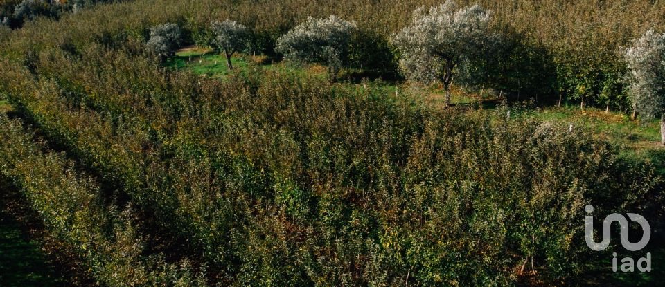 Ferme T16 à Lamego (Almacave e Sé) de 1 660 m²