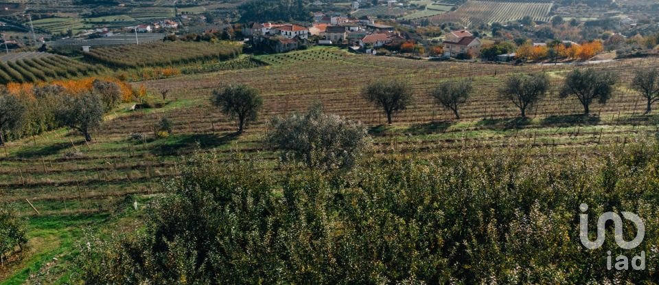 Ferme T16 à Lamego (Almacave e Sé) de 1 660 m²