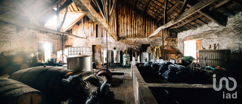 Ferme T16 à Lamego (Almacave e Sé) de 1 660 m²