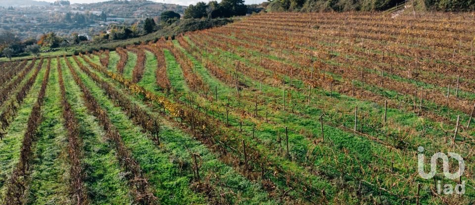 Ferme T16 à Lamego (Almacave e Sé) de 1 660 m²