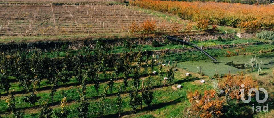 Ferme T16 à Lamego (Almacave e Sé) de 1 660 m²