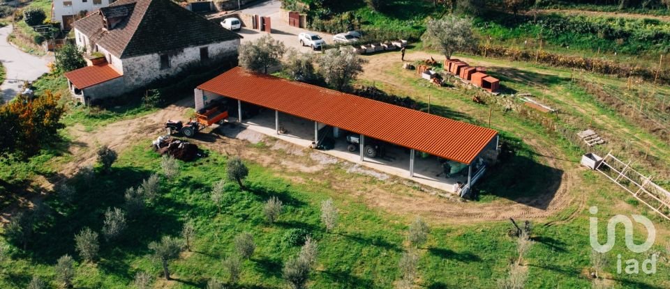 Ferme T16 à Lamego (Almacave e Sé) de 1 660 m²