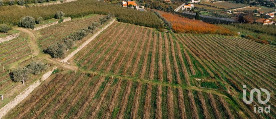 Ferme T16 à Lamego (Almacave e Sé) de 1 660 m²