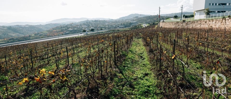 Ferme T16 à Lamego (Almacave e Sé) de 1 660 m²