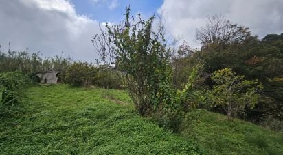 Terrain à Gaula de 660 m²