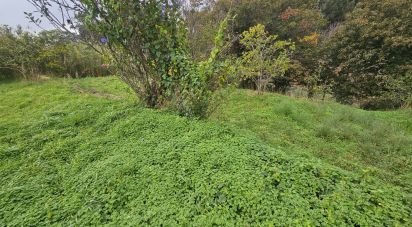 Terrain à Gaula de 660 m²