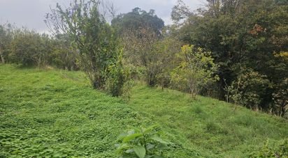 Terrain à Gaula de 660 m²