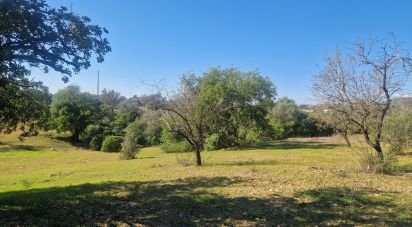 Land in Almancil of 1,800 m²