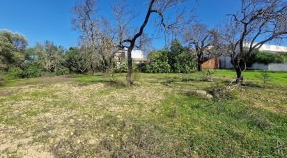 Land in Almancil of 1,800 m²