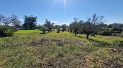 Land in Almancil of 1,800 m²