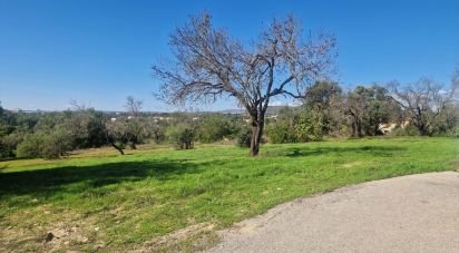 Land in Almancil of 1,800 m²