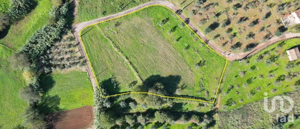 Terreno rústico em Podentes de 3 596 m²