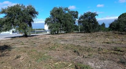 Terrain à Sesimbra (Castelo) de 5 000 m²
