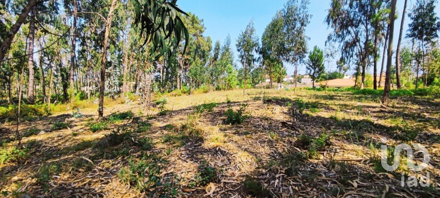 Terreno em Campos e Vila Meã de 1 220 m²